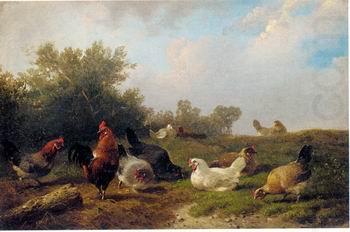 Cocks 124, unknow artist